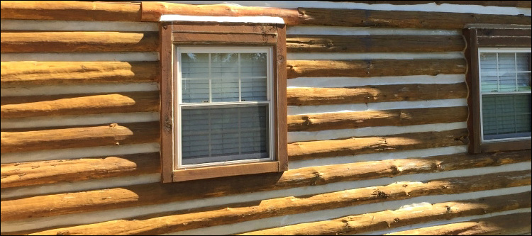 Log Home Whole Log Replacement  Scranton,  North Carolina